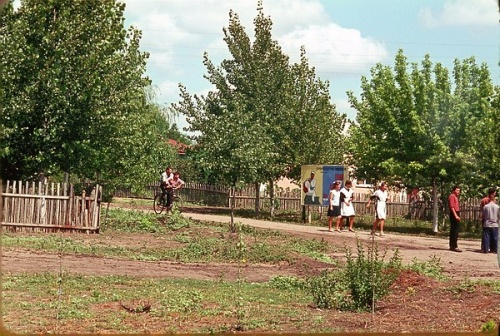 Совхоз "Красный сад