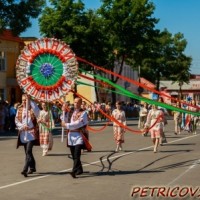 День Независимости в г. Петрикове -1802