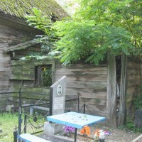 Церковь Покровская (дерев.) кон. XVII—нач. XVIII вв г. Петриков -3130