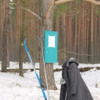 Белорусская лыжня 2014 -973