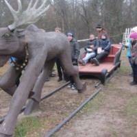 Экскурсия в Беловежскую пущу -4644