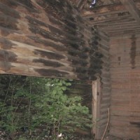 Церковь Покровская (дерев.) кон. XVII—нач. XVIII вв г. Петриков -3138