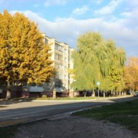Петриков осенью (фото Юлии Карась) -2646