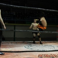 Про-рестлинг шоу 2013 г. Петриков -1258