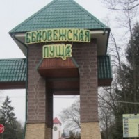 Экскурсия в Беловежскую пущу -4657