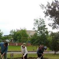 Працоўны дэсант