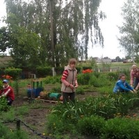 Працоўны дэсант