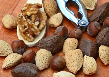Орехи в качестве перекуса: польза и вред