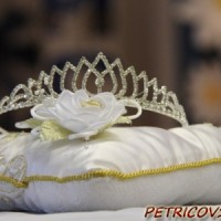 Місіс Палессе-2015 -2361