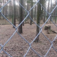 Экскурсия в Беловежскую пущу -4639