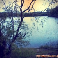 Петриков - любимый город -1823