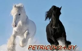 Продам Лошадь д. Белановичи