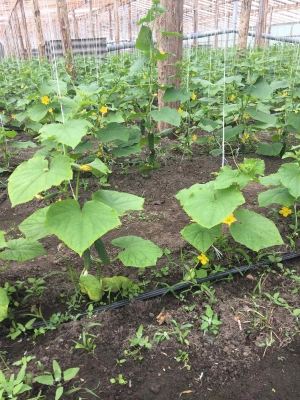 Продам продажа недвижимости