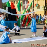 День Независимости в г. Петрикове