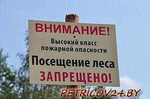 Запрет на посещение лесов