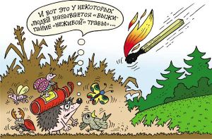 Напоминаем!!!