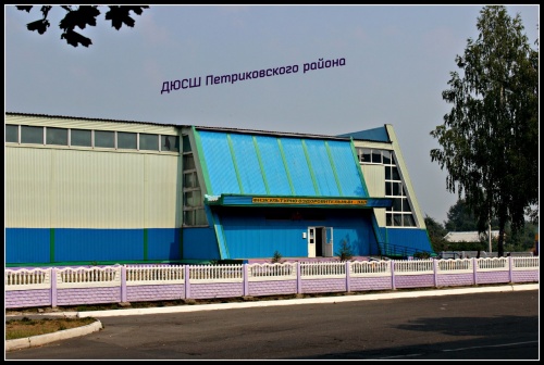 Набор в учреждение "ДЮСШ Петриковского района"