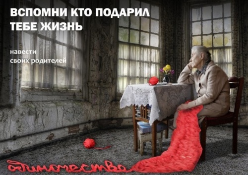 Только у кошки девять жизней у человека лишь одна