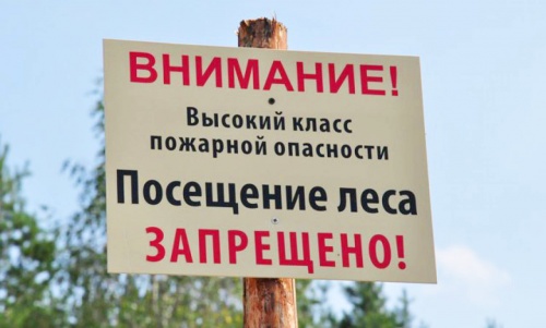 Запрет на посещение леса!