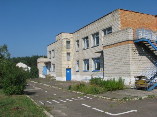Мониторинг Голубицкого детского сада