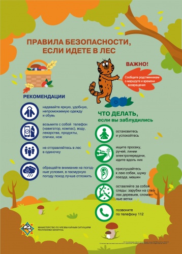 Лес. Будьте осторожны!