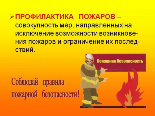 Проведение профилактических мероприятий