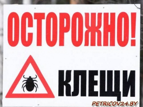 В Гомельском районе от покусов клещей в этом году пострадало 29 человек