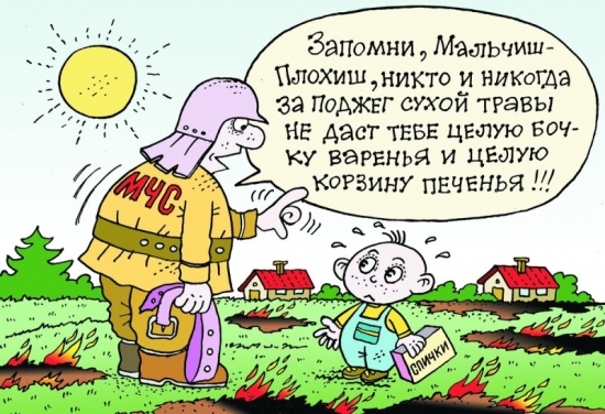 ​Недопущение выжигания сухой растительности