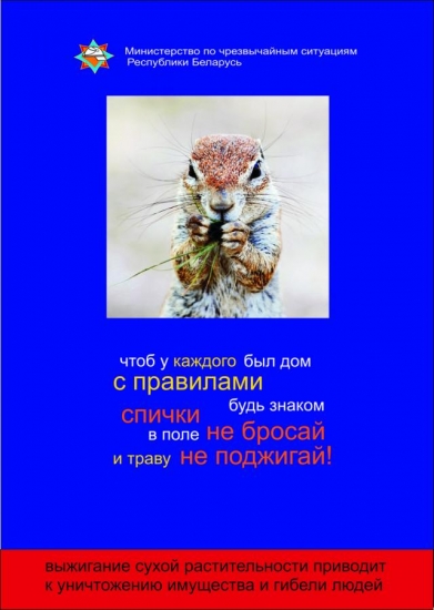 ​Будьте осторожны при наведении порядка