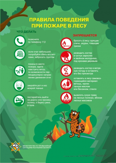Безопасность  в лесу