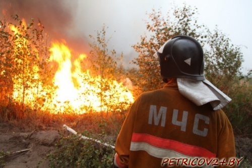 На юге и востоке Беларуси возобновились пожары