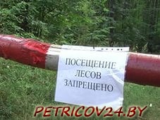 Распоряжением райисполкома с 4 августа установлен запрет посещения лесов и торфяников Петриковского района