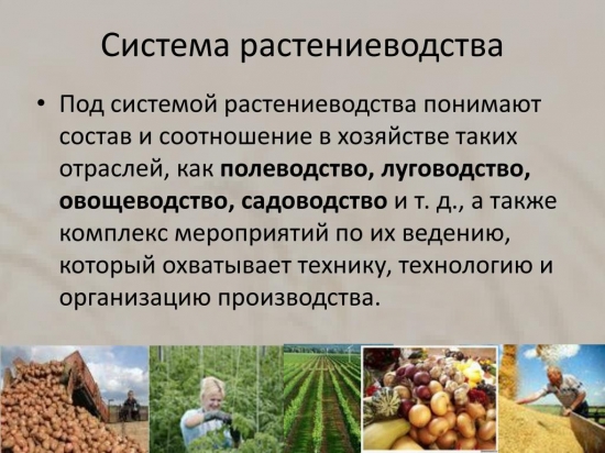 Сельское хозяйство - системы растениеводства
