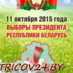 Центризбирком Беларуси разместил предварительные сведения об установлении территориальными комиссиями количества избирателей