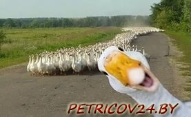 Организаторы "Гонки легенд" приготовили удобную для зрителей трассу