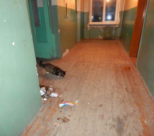 Проживающим в общаге по ул. Гоголя 9