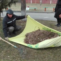 Наведение порядка на территории учреждения -3841