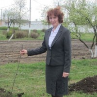 Семинар по питанию