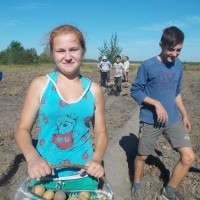 Усе разам бульбу мы капалі