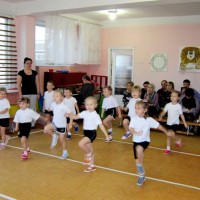 Открытые просмотры на РУМО руководителей физвоспитания