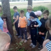 Оздоровительный лагерь "Веселый улей"