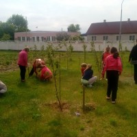 Оздоровительный лагерь "Веселый улей"