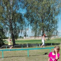 Конкурсы, эстафеты, игры.
