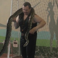 К нам приехал цирк!