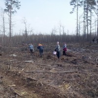 Неделя леса. 02-09.04.2016