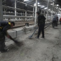 Лагерь труда и отдыха "Факел"