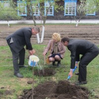 Семинар по питанию