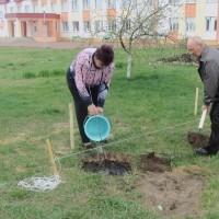 Семинар по питанию