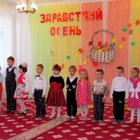 Осень постучалась к нам золотым дождем