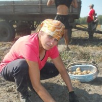 Усе разам бульбу мы капалі